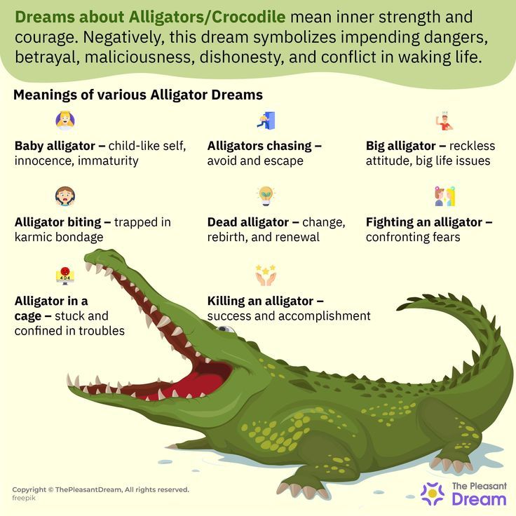 Znaczenie i interpretacja snu aligator