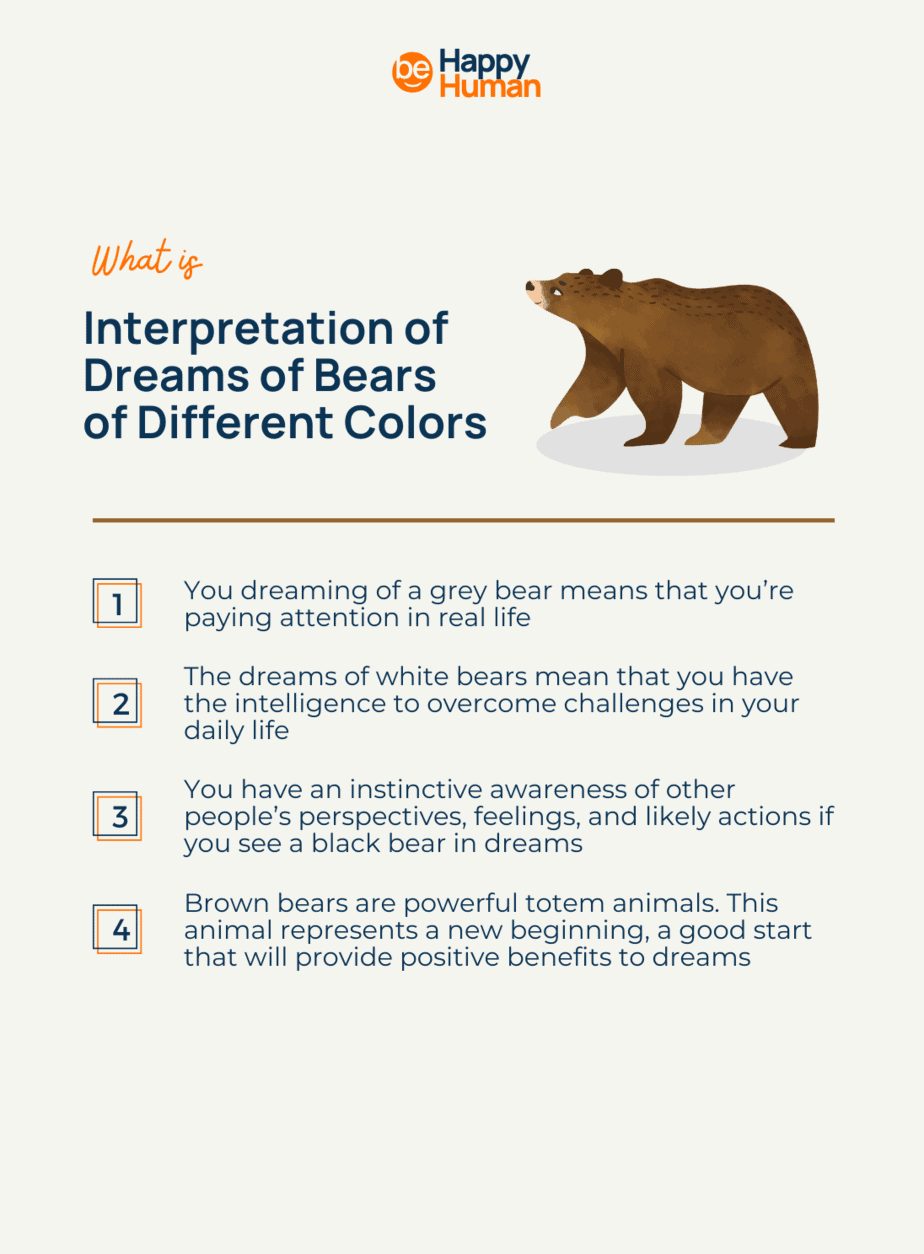 Czarny niedźwiedź - znaczenie i interpretacja snu