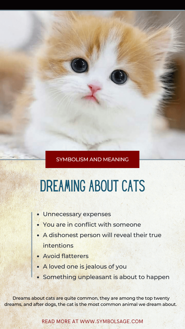 Znaczenie snu koty: czy to dobrze?