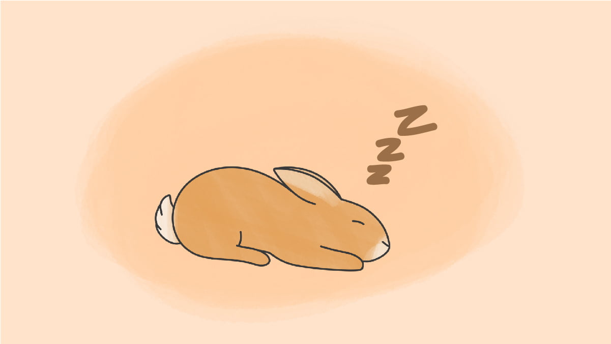 Śnić o królikach: co to znaczy?