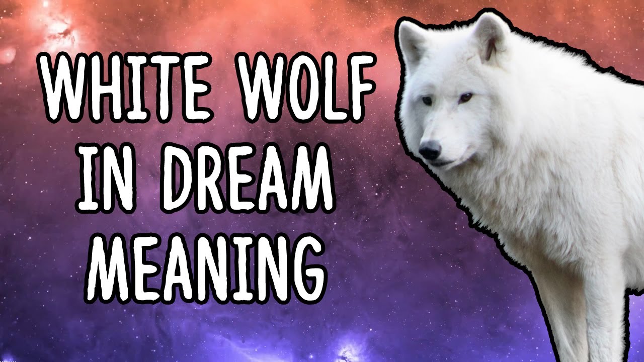Biały wilk we śnie znaczenie & symbolika